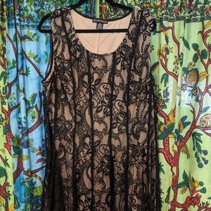Candalite Black Lace Over Tan Knee Length Dress
